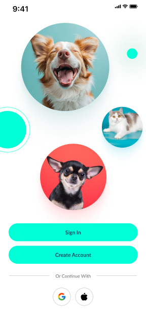 screenshoots