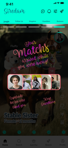 screenshoots