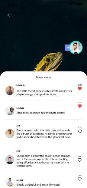 screenshoots